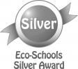 Eco school silver award logo